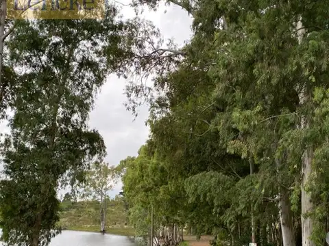 Lotes en venta Lomas de punta gorda, prox. Carmelo, financiacion, oportunidad de valorizacion