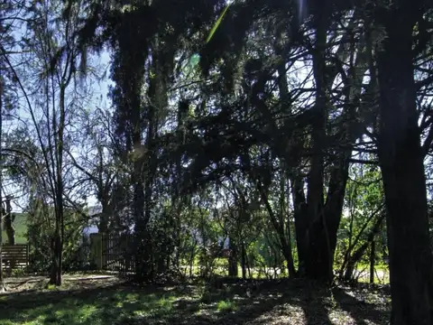 Terreno en Venta de 300,0 m2