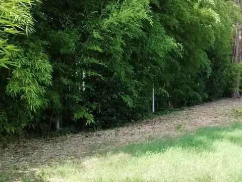 Terreno en Venta 20  mts Frente