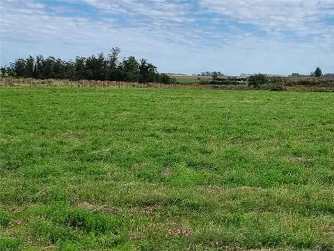 Campo en Venta de 3  ha