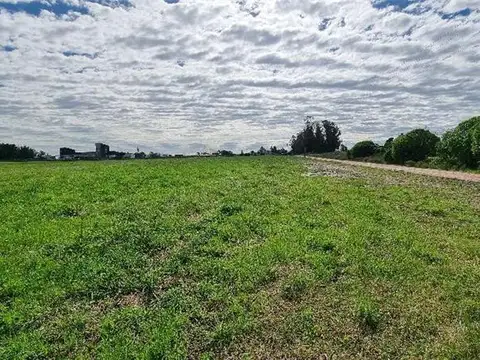 3 Ha. Inversión Inteligente.