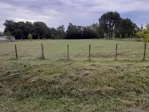 Terreno en Venta de 5000,0 m2