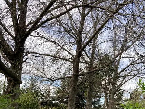 Terreno en Venta en Tortuguitas, USD 45.000