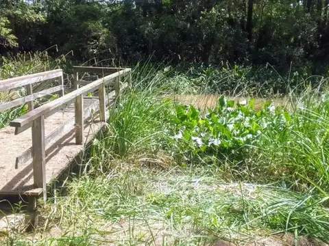 Venta- Arroyo Gelvez a mts del  Arroyo Espera - Delta Tigre 