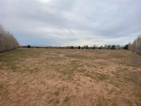 Terreno en Alquiler de 5000,0 m2