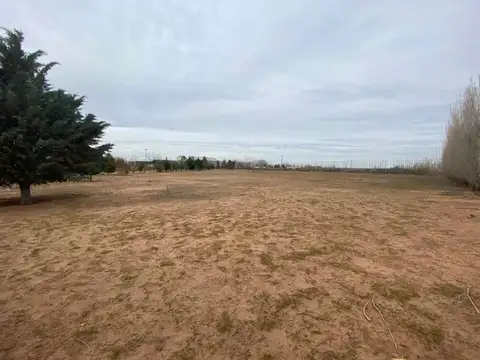 Terreno en Alquiler en Senillosa, USD 2.000