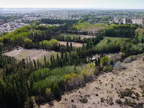 VENTA DE 7.8 HECTAREAS EN PLOTTIER