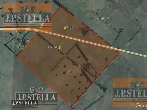 Campo 272 Ha con vivienda y mejoras - San Vicente
