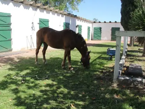 Venta de campo en San Migue Del Monte (Buenos Aires)