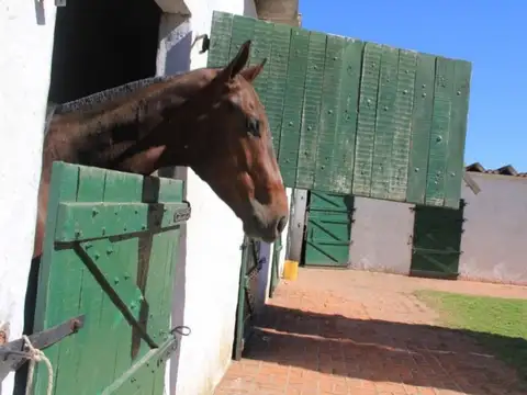 Venta de campo en San Migue Del Monte (Buenos Aires)
