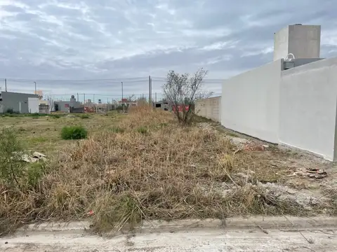 LOTE - ARGUELLO NORTE - LO TENGO 