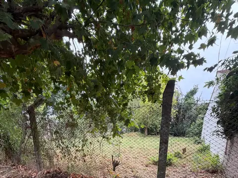 Terreno en Venta 26  mts Fondo