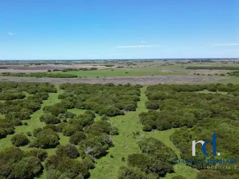 Camino a La Salada 100