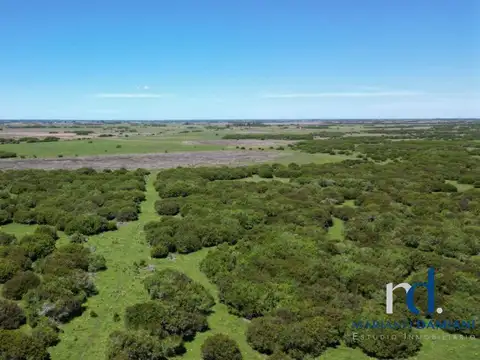 Terreno en Venta en General Juan Madariaga, USD 250.000
