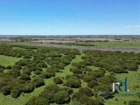 Terreno - Venta - Argentina, General Madariaga