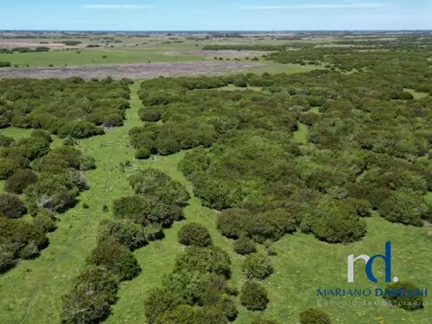 Terreno en Venta de 400000,0 m2