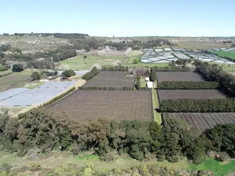 Mar del Plata - Sierra de los Padres - 10 has
