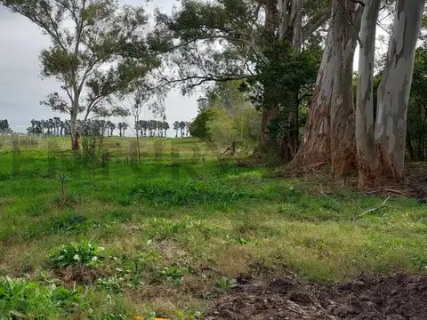 Terreno en Venta en City Bell, USD 95.000