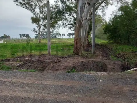 Terreno en Venta de 2477,0 m2