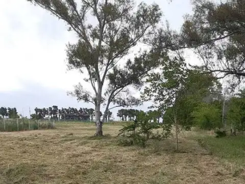 Terreno en Venta de 2477,0 m2