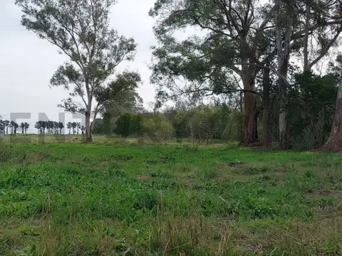 Terreno en Venta en City Bell, USD 95.000