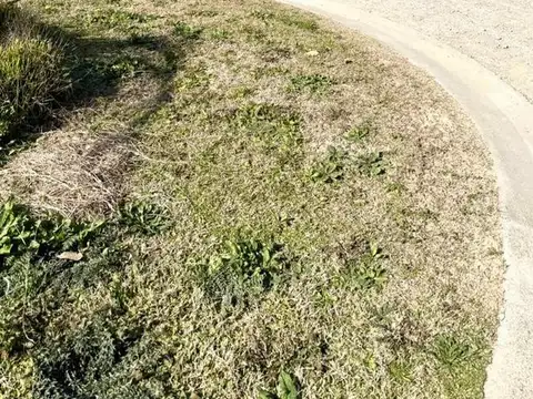 Terreno en Venta 18  mts Fondo