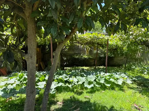 Galpon en Venta en Wilde, USD 90.000