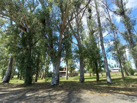 Lote-Barrio Cerrado-133 y 506-José Hernandez-La Plata