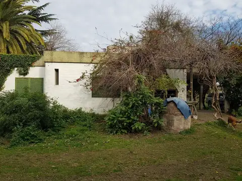 Juan M. Castro Chaves 500