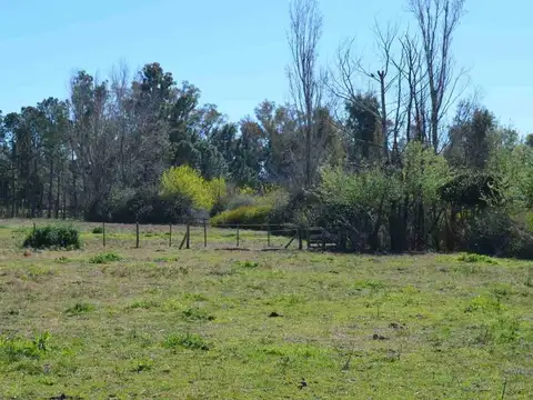 Lote 2,5Ha Venta Haras Argentino Farm Club, Lujan