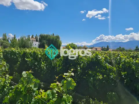 La Estancia de Cafayate 100