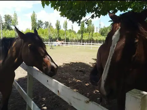 Casa en Pilar /  Barrio Privado  /  10 ambientes /  Pileta / Solarium