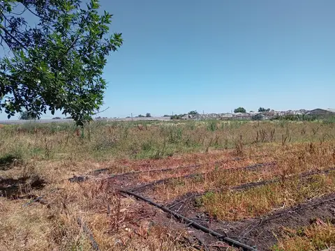 Terreno en Venta en Los Hornos, USD 180.000