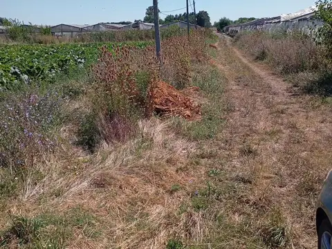 Terreno en Venta de 7000,0 m2