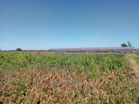 Terreno en Venta en Los Hornos, USD 180.000