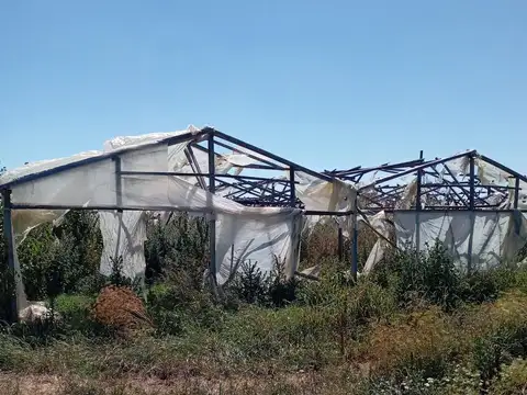 Terreno en Los Hornos