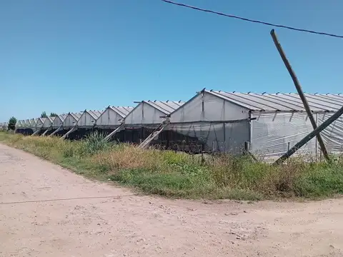 Terreno en Venta de 7000,0 m2