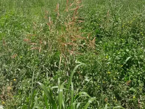 Lote en el Callao, Cortínez, Luján en Venta