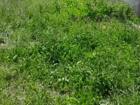 Terreno en Venta 40  mts Fondo