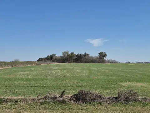 Terreno en Venta 473  mts Fondo