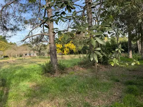 Lote arbolado de 2098 m² en excelente ubicación 635 y 133 – Berisso