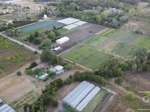 Chacra en  venta 1.8 has en Abasto