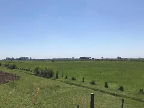 Terreno en Venta en San Vicente, USD 55.000