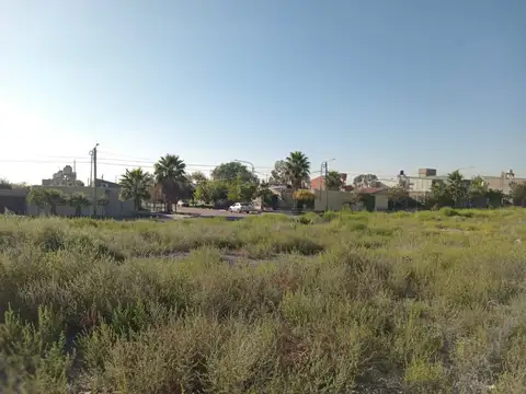 LOTE AMPLIO EL CHALLAO EN VENTA