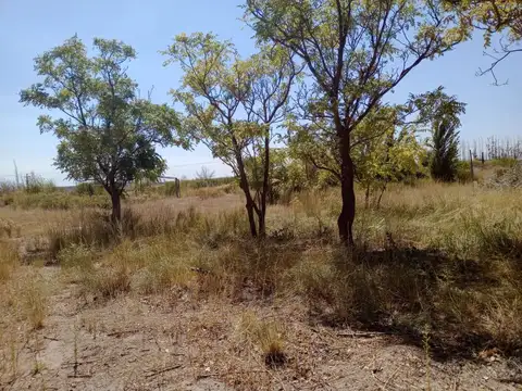 Terreno en Alquiler en San Patricio del Chañar, $ 1.200.000