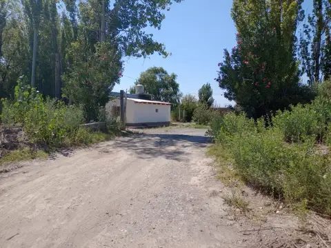 Alquiler de predio de 4.400 m2