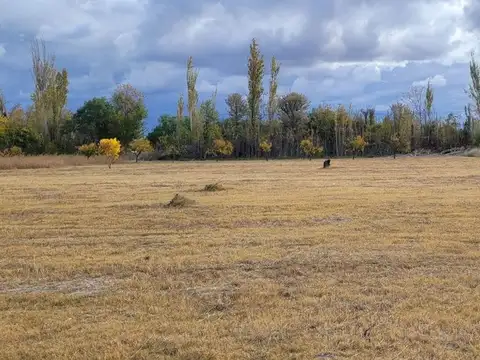 Terreno en Venta en Espino, USD 95.000