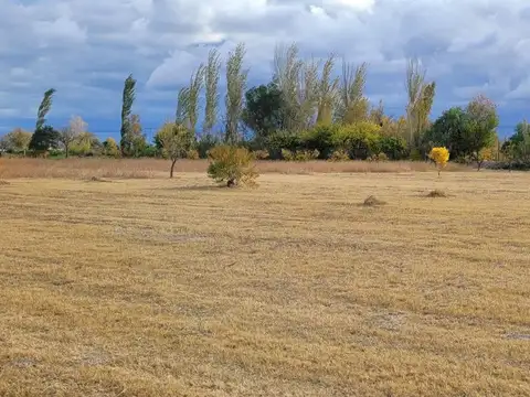 Terreno en Venta de 4426,0 m2