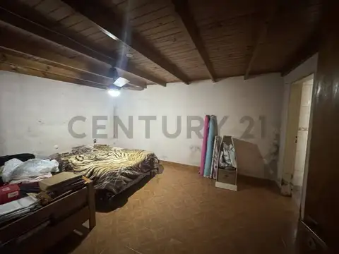 Felipe Castro 2100