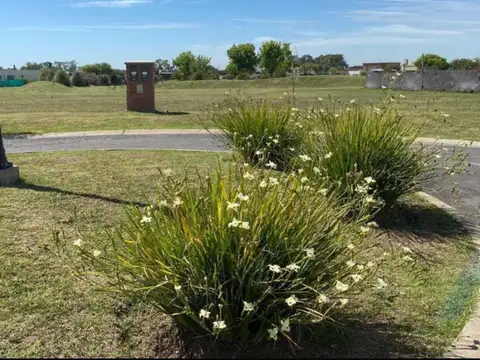Terreno en Venta en Pilar Del Este, Countries y Barrios Cerrados en Pilar